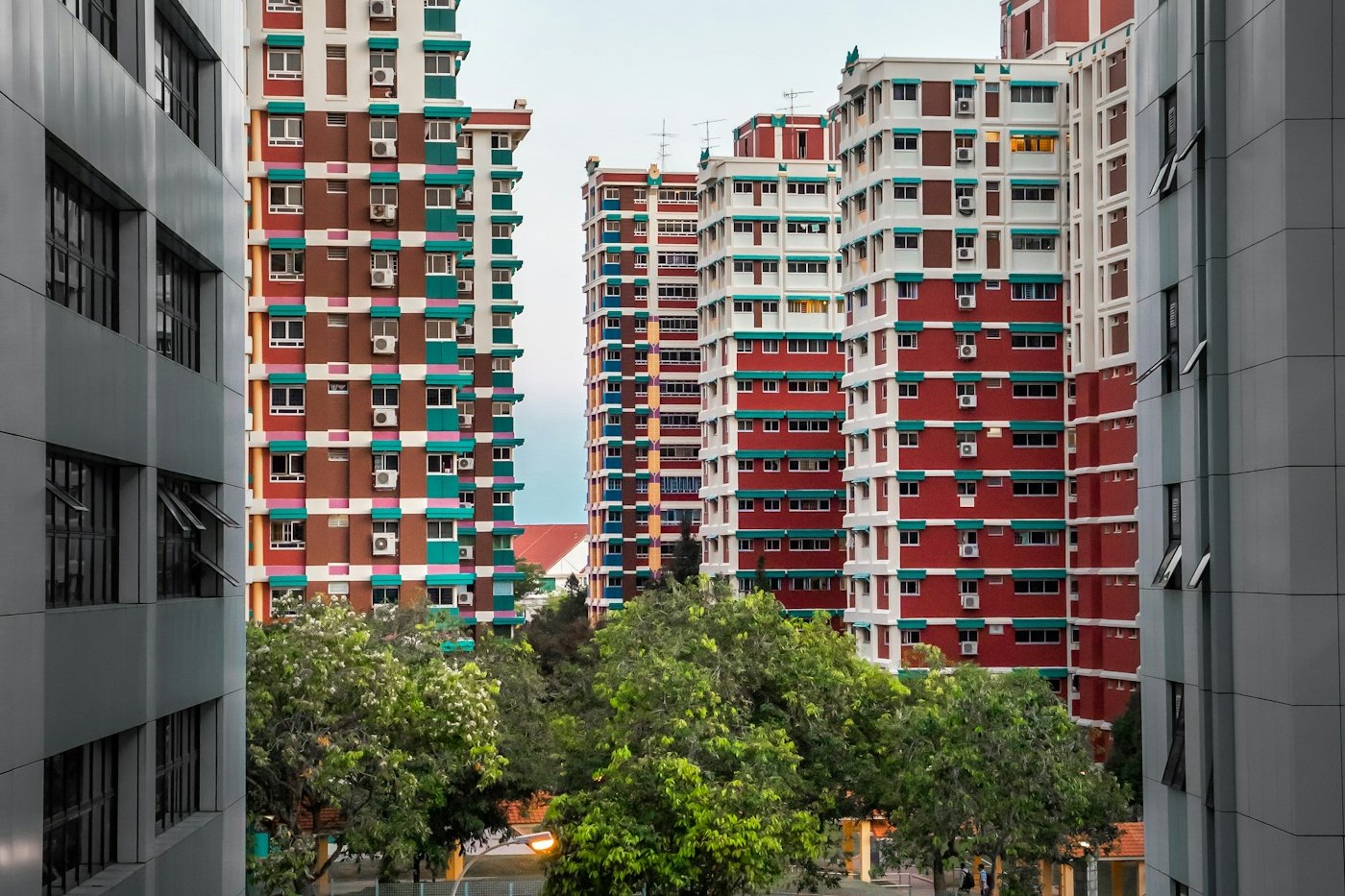 Soft morning light over a quiet residential street in western Singapore